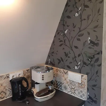 Sloneczna & Sauny Apartment Kudowa Zdroj